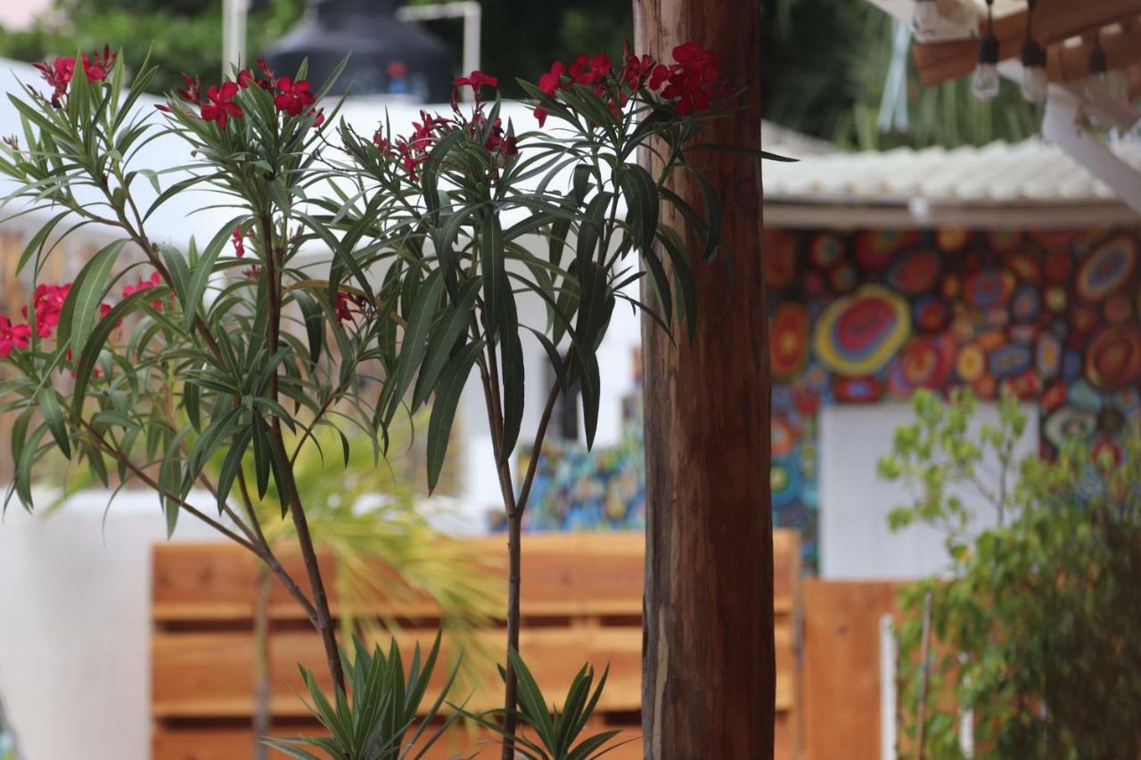 Wabi Hostel بلايا ديل كارمن المظهر الخارجي الصورة